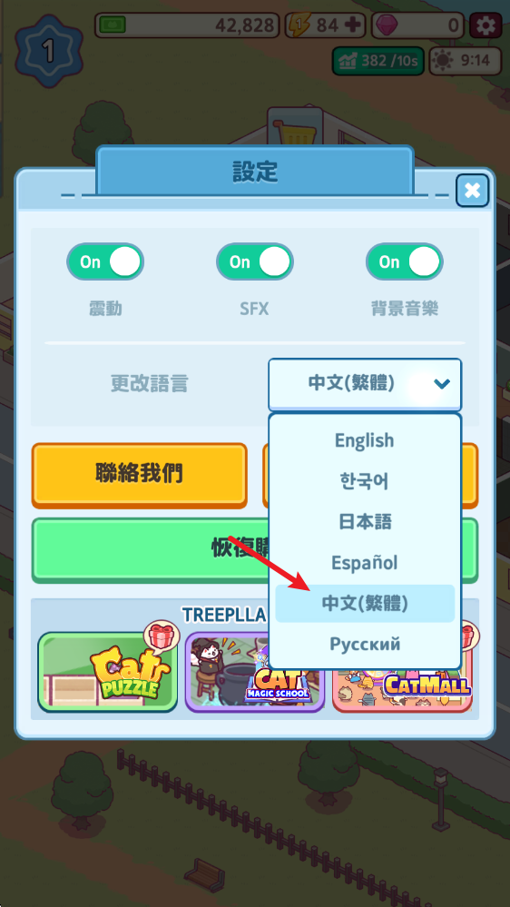 办公室猫咪