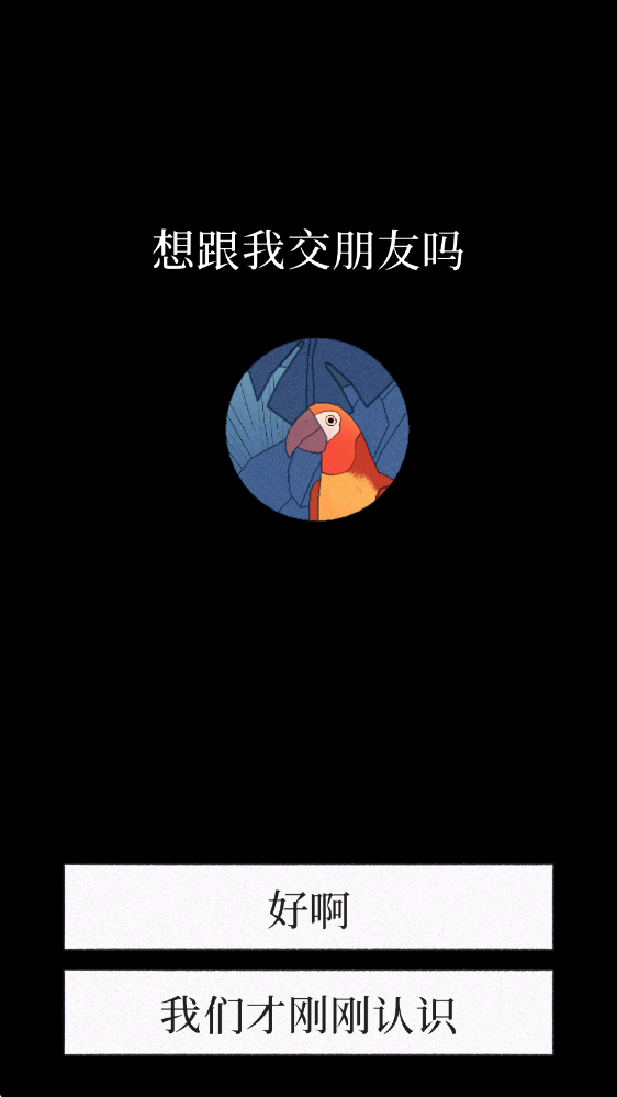 孤独的鸟儿正版