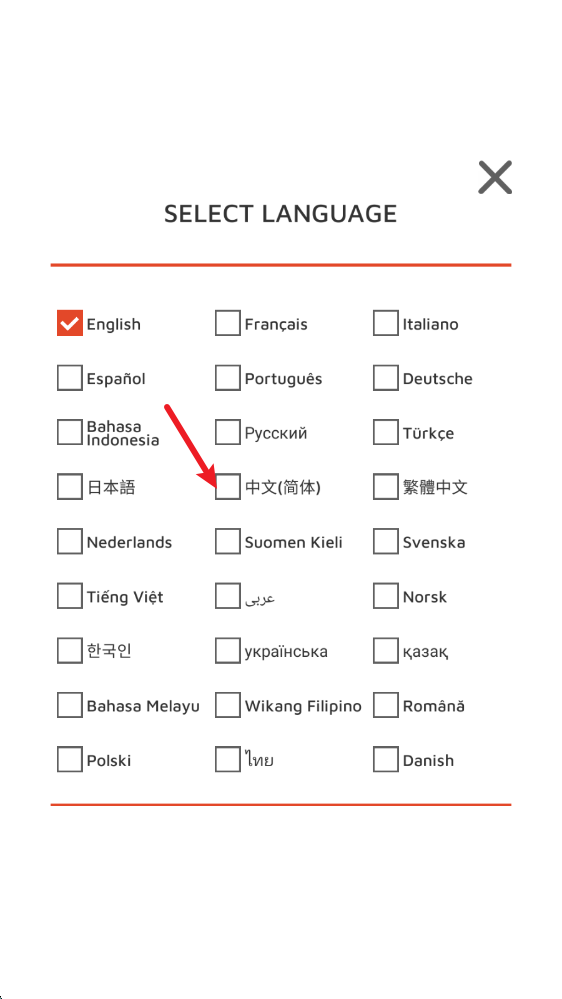 国际时尚搭配师