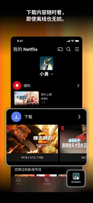 Netflix（免费追剧）