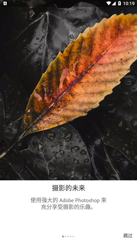 Lightroom手机版