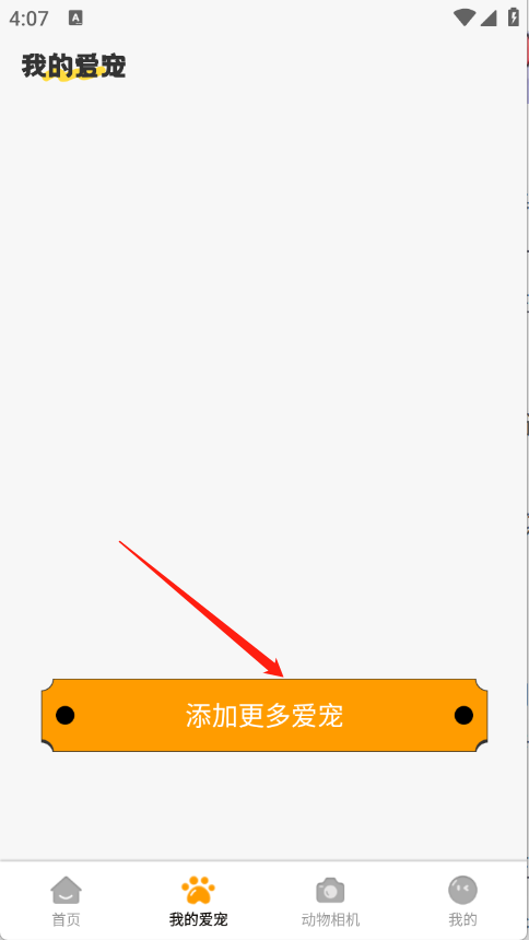 桌面宠