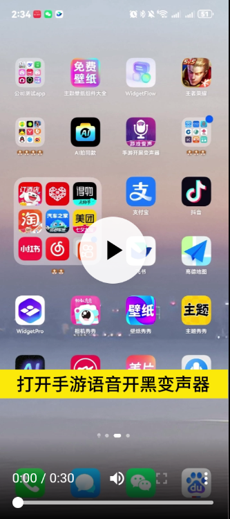 手游开黑变声器