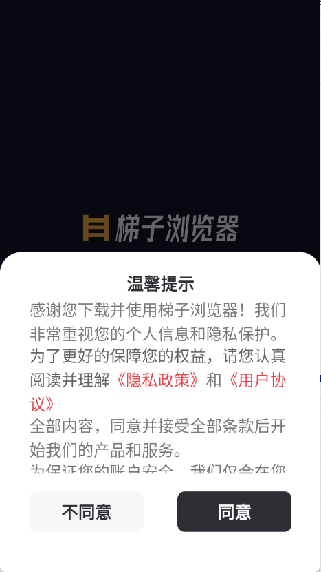 梯子浏览器