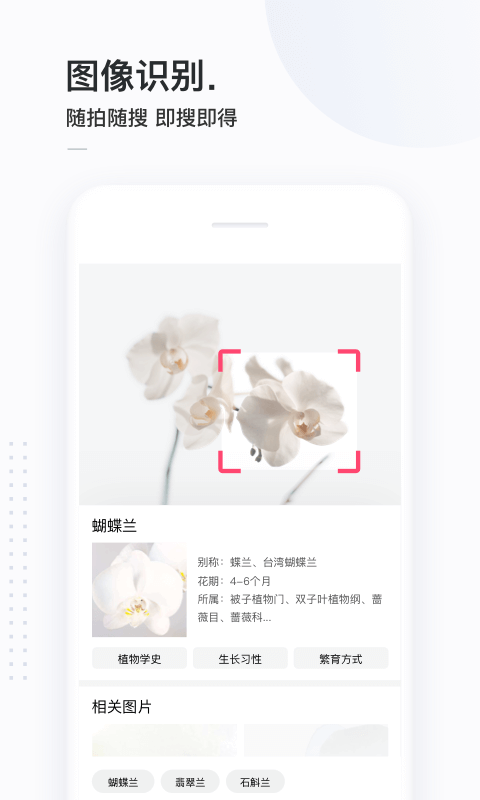 简单搜索手机版