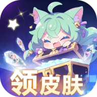 皮肤契约