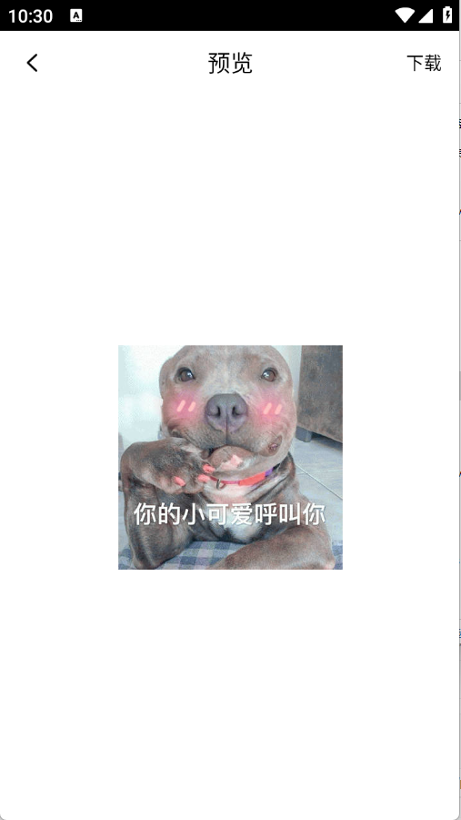 表情包合集app