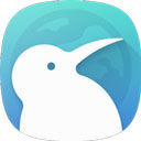 Kiwi Browser(Kiwi浏览器)