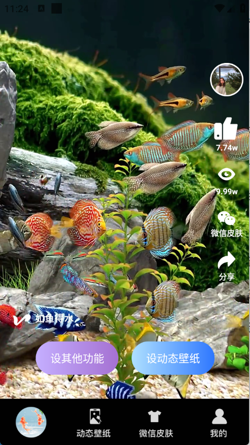 动态养鱼壁纸
