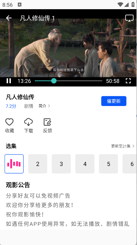 森林视频