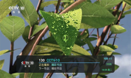 全球tv 1.1 安卓版