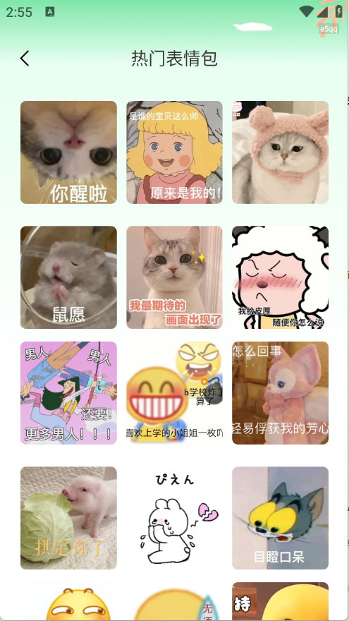 全网免费壁纸