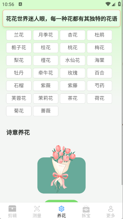 真能帮工具箱