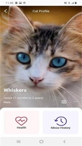 喵说MeowTalk(猫语翻译器)
