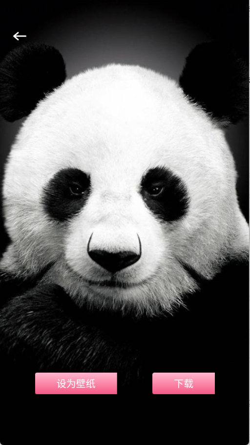 尚美壁纸（精美主题）