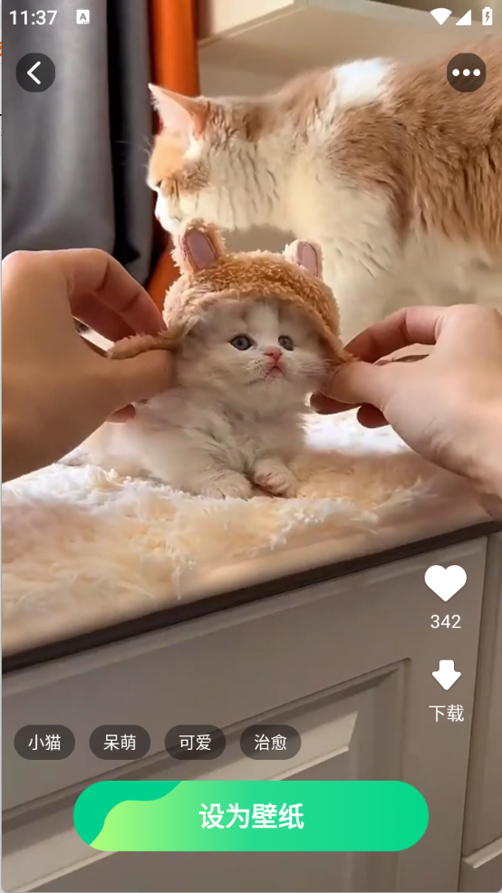 元气多多壁纸app